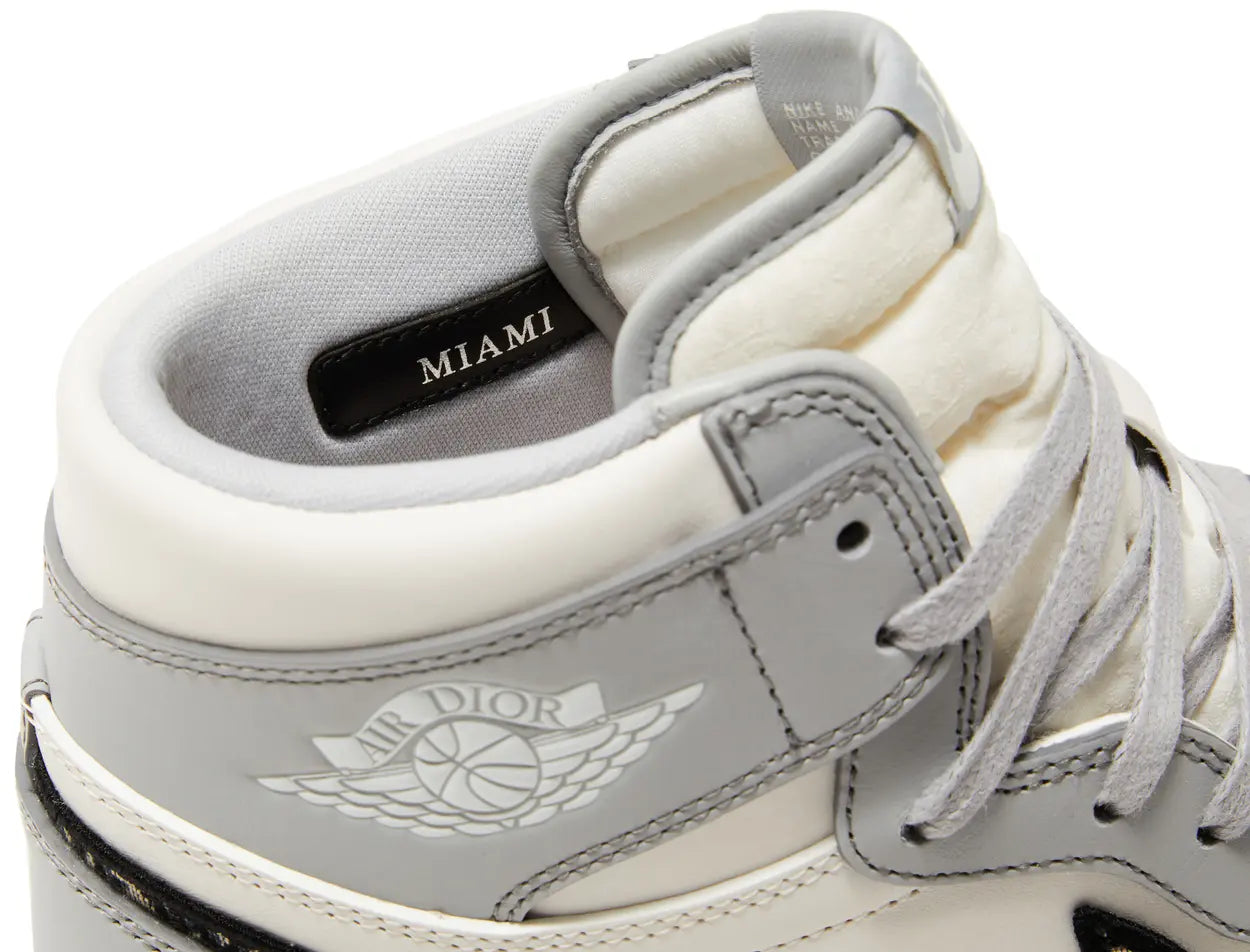 Jordan Retro 1 High x DIOR